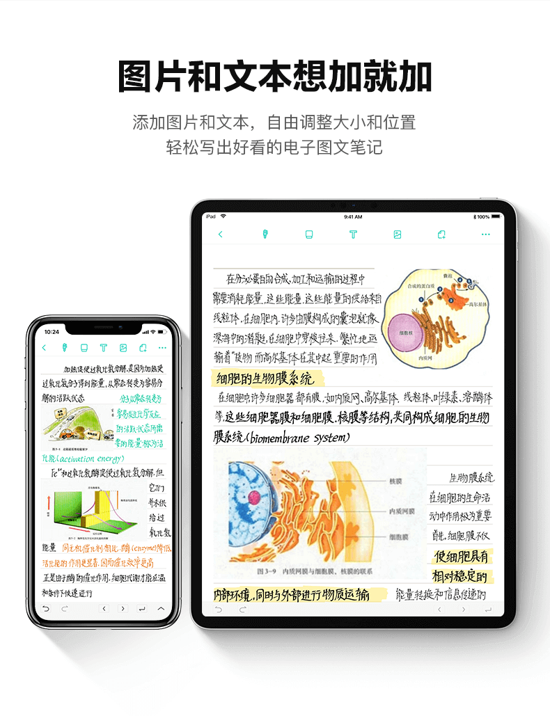 ELFINBOOK APP手写板，添加图片和文本